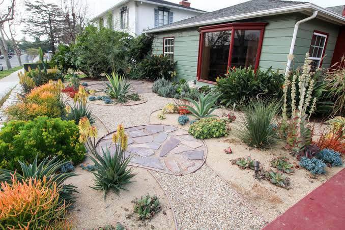 A front yard garden with drought-tolerant plants, including succulents and agave, features gravel, sand landscaping, and synthetic turf in front of a green house with large windows.
